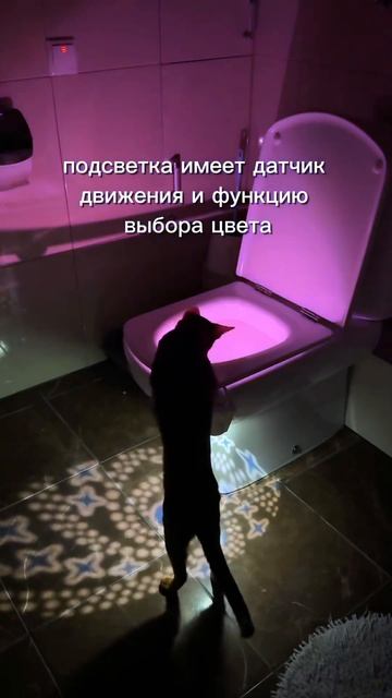 Световое шоу… в туалете? Еще больше обзоров в инст kak_yk смотреть онлайн