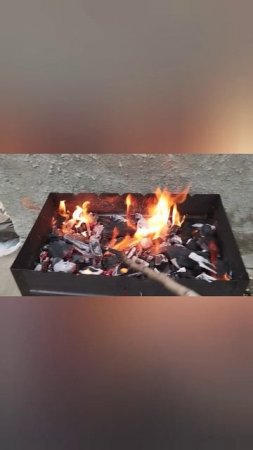 ЖАРИМ ШАШЛЫЧËК! ВКУСНЯТИНА НЕЖНЯТИНА! 👅