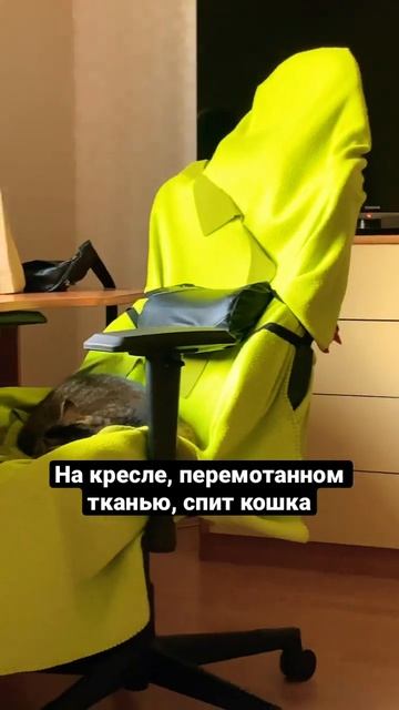Будни репетитора-онлайн. #хочувреки #егэпорусскому #мо