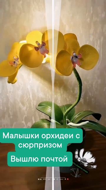 Светильники орхидейки ручная работа #беларусь #витебс смотреть онлайн