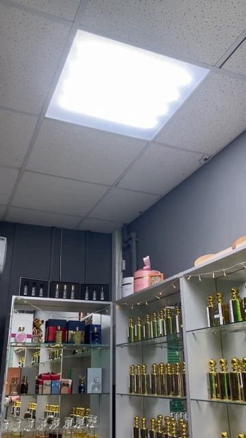 Умный свет #юмор #прикол #пранк #жиза #топ #funny #сериал #rec смотреть онлайн