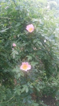 VID_20250510_080934