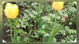 Большие выходные🎉сезон шашлыков открыт😉