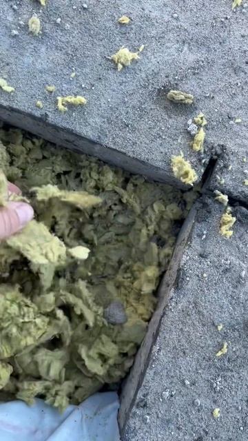 😜😜😜Вскрытие показало……🥳 надо было обследовать к смотреть онлайн