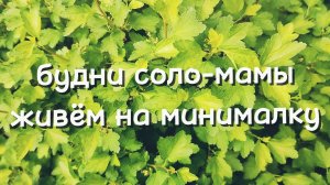 ОДНА С ДВУМЯ ДЕТЬМИ ЖИВУ НА МИНИМАЛКУ