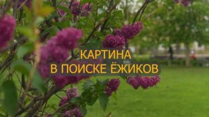 Воронеж. Картина "В поиске Ёжиков" (11.05.25)