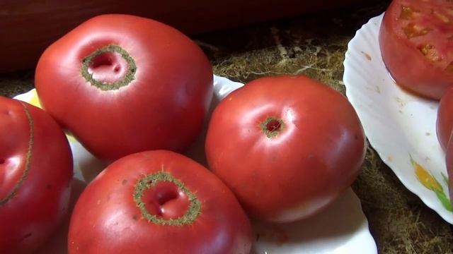 Томат Могучее вымя. Уникальный случай из жизни томатов. Подробный обзор и дегустация сорта. №918.