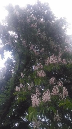 VID_20250511_120615