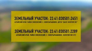 продажа участков в с.Новотырышкино (Золотой Лог)