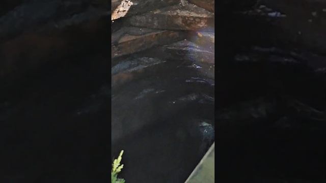 2 ямы из жби колец затапливают друг друга