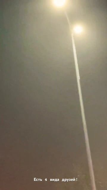 4 вида друзей #мудрость #мудрыесоветы #умныеслова #яма? смотреть онлайн