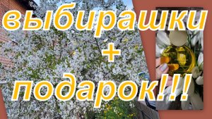 ВЛОГ:  ВЫБИРАШКИ И СОЛНЫШКО В ПОДАРКАХ!!!