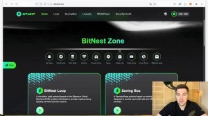 BITNEST обзор без воды
