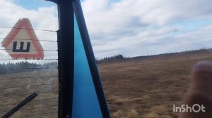 От  рисунка до болота год.