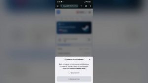 КАК ПОПОЛНИТЬ STEAM И ДРУГИЕ ПЛАТФОРМЫ КРИПТОВАЛЮТОЙ?