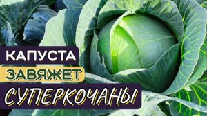 Важно для супер качанов, обязательно сделай это.