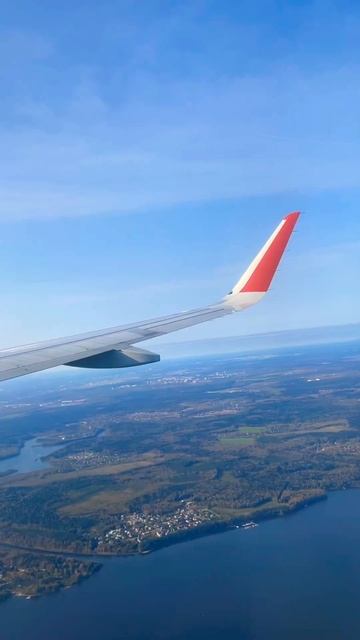 Часто летаете на самолетах? #москва #красноярск #shortvideo смотреть онлайн