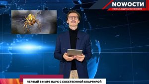 NOWOCТИ:СЛИВ IPHONE 17, соревнования по КВАДРОБИКЕ, фото наше