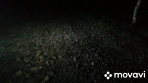 Я поменял лампы заднего хода на Ларгусе