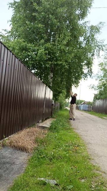 @береза ещё запохи не дает#на веники#.жду.) смотреть онлайн