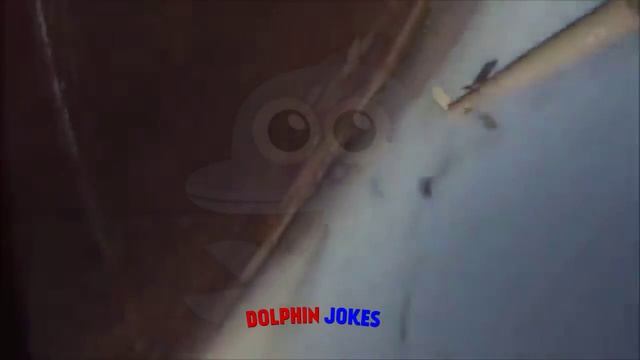 [ВАМ ПИСЬМО С БОМБОЙ #2] Вертолётик пошел на снижение над донецком смотреть онлайн