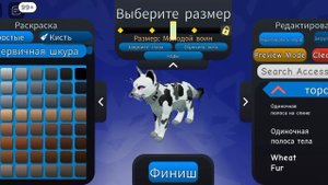 Секретный код на ошейник 🎗️#котывоители