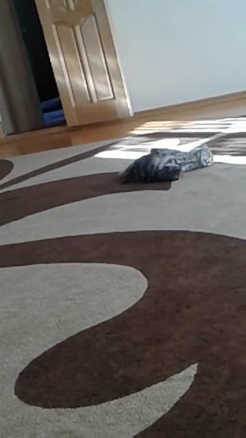 Борец против боксера смотреть онлайн