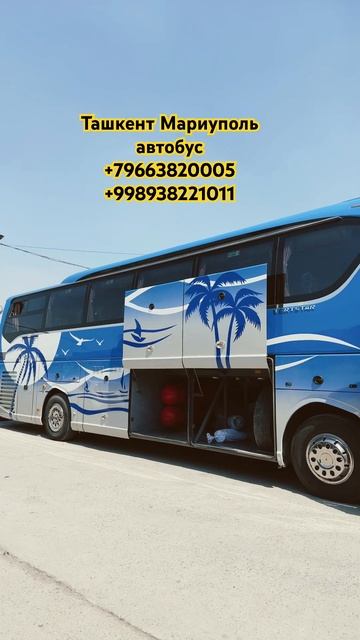 Ташкент Мариуполь автобус #автобус #ташкент #мариупол? смотреть онлайн