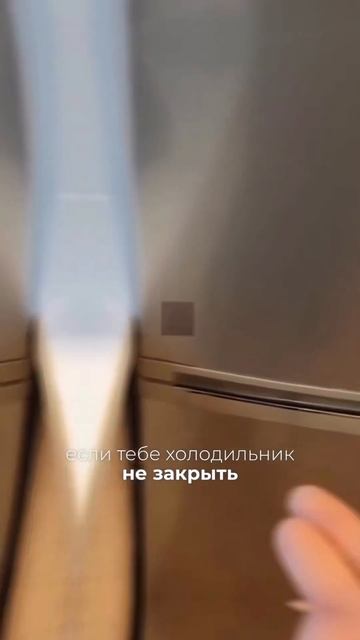 Как справиться с НЕ закрывающимся холодильником и НЕ ? смотреть онлайн