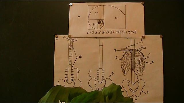 Весь мир в цифрах ч 2 Следующее видео будет ДОКТОР СТРА смотреть онлайн