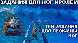 КАК ТРЕНИРОВАТЬ НОГИ В КРОЛЕ: ЛУЧШИЕ ЗАДАНИЯ ДЛЯ ВЗРОСЛЫХ ПЛОВЦОВ