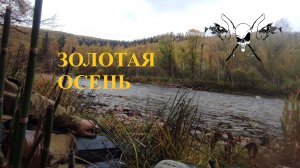 Приток Томи в сентябре. Разведка новых мест