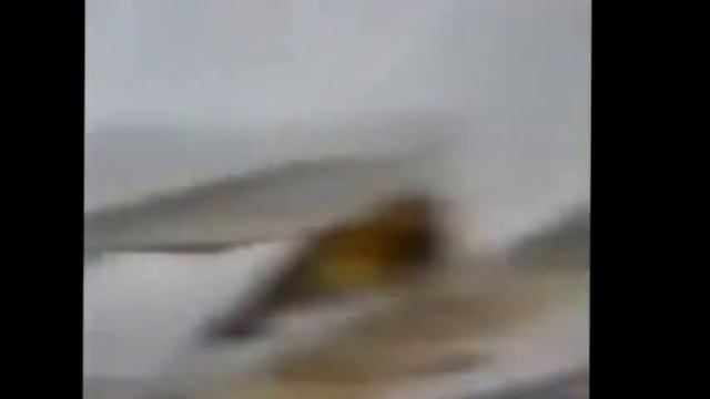 Новый прикол свадьба угар смотреть онлайн