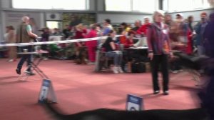 Сравнение промежуточного класса