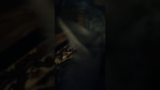 Семён Семёнович играет в бейсбол