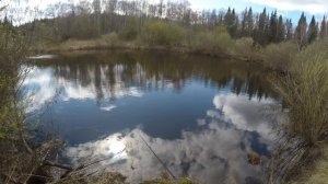 неожиданная поклёвка щуки