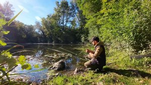 Ловля на САЛО осенью ! Караси и Карпы дуреют. Рыбалка н?