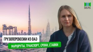 Контейнерные грузоперевозки из ОАЭ I Цена, маршруты, транспорт, сроки