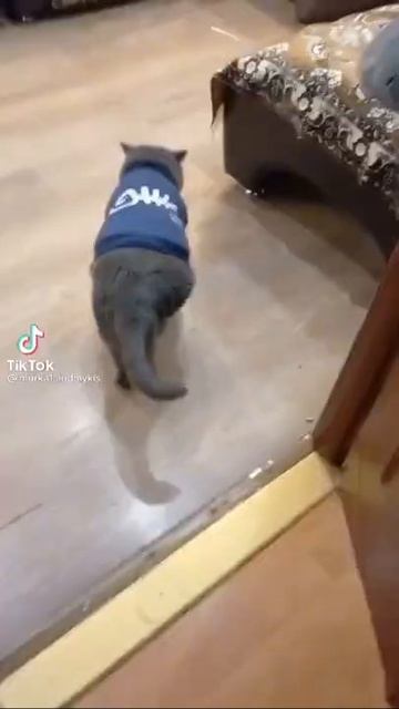 Холодно холодно ну и чё? В холодильнике сальце и харчо! смотреть онлайн