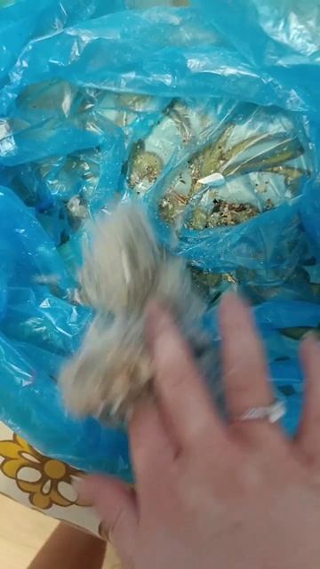 результат работы робота-пылесоса Валеры смотреть онлайн