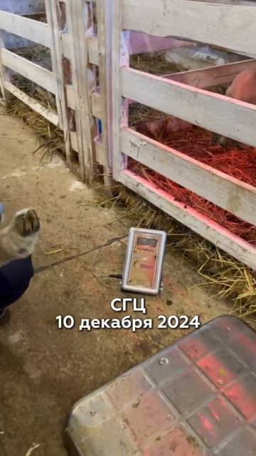 В нашем селекционно-генетическом центре пополнение — смотреть онлайн