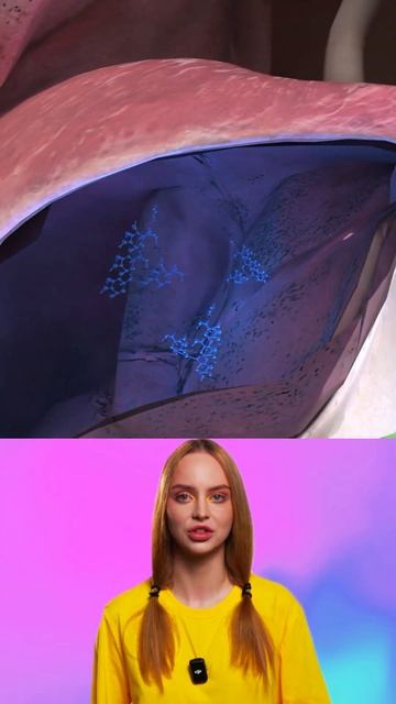 Почему вы набираете вес? смотреть онлайн