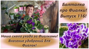 Болталка про Фиалки! Выпуск 116! Наша схема ухода за Фиалками! Внесение удобрений для Фиалок!