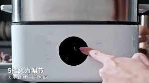 Пароварка Xiaomi Mijia Multifunctional Electric Steamer S1