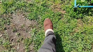 Подоконники установлены. Солнечное утро. Наш розарий.