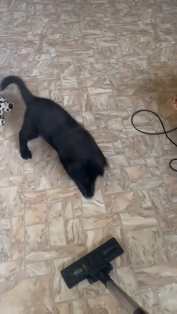 Отважный сыночек ЦЕРО смело идёт в атаку на злой страш смотреть онлайн