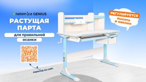 Растущая парта Anatomica Genius