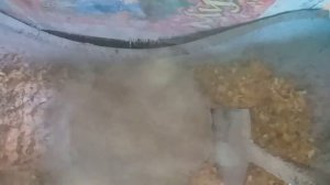 ОВОЩЕРЕЗКА СВОИМИ РУКАМИ в нашем хозяйстве!