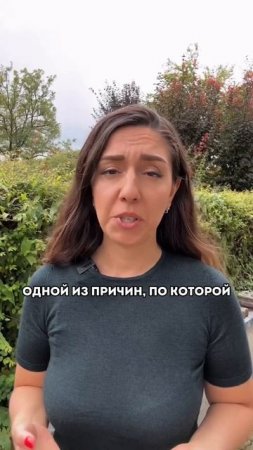 Причина, по которой акции с высоким риском приносят ни