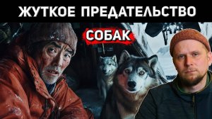 СОБАК БРОСИЛИ В АНТАРКТИДЕ. ЧТО ИЗ ЭТОГО ВЫШЛО История ТАРО И ДЗИРО 1958